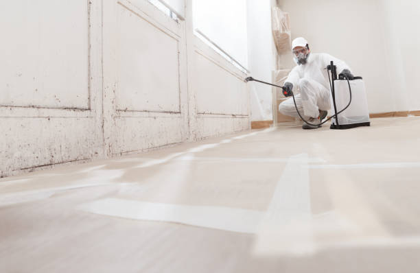 24/7 Emergency Mold Remediation experts in Erwinna, PA